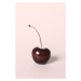 Fotografie Single cherry, Studio Collection, 26.7 × 40 cm