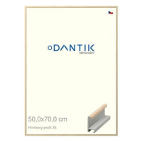 DANTIK rámeček 50 × 70, ALU profil 6035 Dýha dub raw plexi čiré