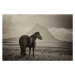 Fotografie Black Horse and Kirkjufell Mountain, horstgerlach, 40 × 26.7 cm