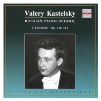 Kastelsky Valery: Instrumental - CD