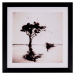 Obraz sømcasa Trees, 30 x 30 cm