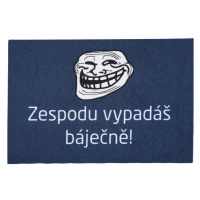 Rohožka Zespodu vypadáš báječně (Meme) 40x60 cm 40x60 cm