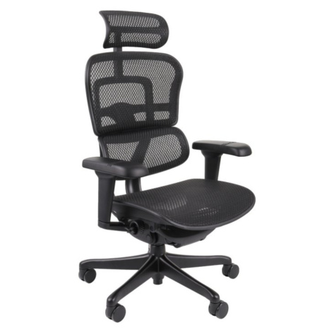 Ergonomické křeslo Ergohuman 2 Ultra BS Black Grospol