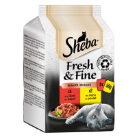 Výhodné balení 72 x 50 g Sheba Fresh & Fine - jemná pestrost