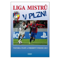 Liga mistrů v Plzni: Viktoria Plzeň a pohárový podzim 2013