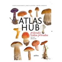 Atlas hub