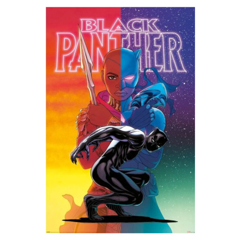 Plakát, Obraz - Black Panther - Wakanda Forever, (61 x 91.5 cm) Pyramid