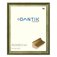 DANTIK rámeček 40 × 50, Ferrosa zlatý plexi čiré