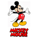 Dětská společenská hra Mickey and Minnie Disney Conector junior Educa 40 karet a 200 otázek a in