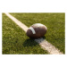 Fotografie American rugby ball on the grass in the stadium, Sinenkiy, 40x26.7 cm