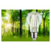 PAULMANN Eco-Line Filament 230V LED žárovka E27 1ks-sada 2,5W 4000K čirá