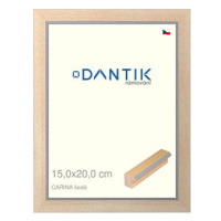 DANTIK rámeček 15 × 20, CARINA šedý sklo čiré