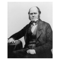 Fotografie Portrait of Charles Darwin, 1854, English Photographer,, 30 × 40 cm