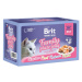 Brit Premium Cat Delicate Fillets in Jelly Family Plate 1020g (12x85g)