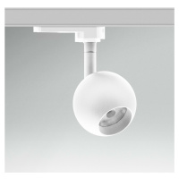 CENTURY Svítidlo pro 3fázovou lištu REGIA SHOP MINI SPHERE bílá LED 10W 4000K CRI90 UGR16