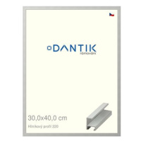 DANTIK rámeček 30 × 40, ALU profil 6220 Stříbrný matný plexi čiré