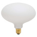 Teplá LED stmívatelná žárovka E27, 6 W Oval – tala