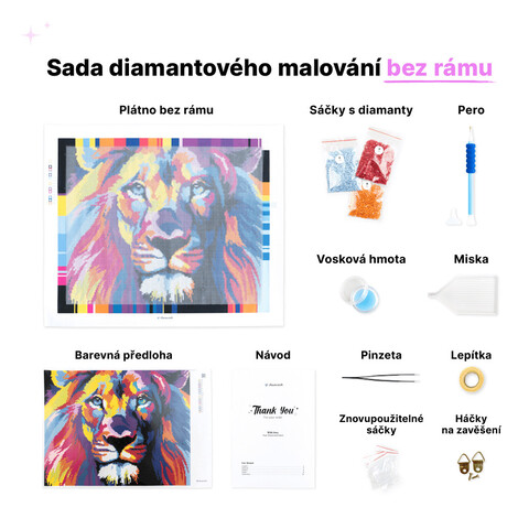 Diamantové malování - BAREVNÉ KVĚTINY (HALEY BUSH) Rozměr: 40x50 cm, Rámování: bez rámu a bez vy