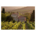 Fotografie Farmhouse in vineyard at sunset, Gary Yeowell, 40 × 26.7 cm