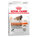 Royal Canin Sporting Life Energy Trail 4300 pro psy - 15 kg