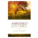 Amplified Holy Bible, Paperback, Captures the Full Meaning Behind the Original Greek and Hebrew 