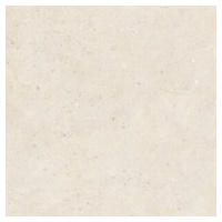 Biophilic white 60x60 8,5MM GRIP rett.