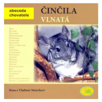 Činčila vlnatá - Abeceda chovatele