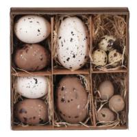 Velikonoční dekorace Vyfouklá vajíčka, 12 ks, bílá/hnědá