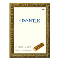 DANTIK rámeček 21 × 29,7, Starozlatý s ornamentem sklo čiré