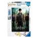 Ravensburger Puzzle Harry Potter, Ron a Hermiona XXL 300 dílků