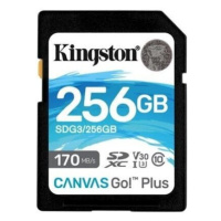 Kingston SDXC Class 10 256GB SDG3/256GB