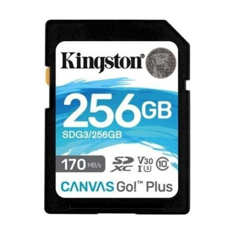 Kingston SDXC Class 10 256GB SDG3/256GB