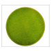 Eton zelený koberec kulatý - 120 cm