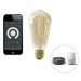 Inteligentní průmyslová závěsná lampa zlatá vč. WiFi ST64 - kostra