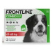 FRONTLINE COMBO spot-on pro psy XL (40-60kg)-3x4,02ml