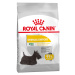 Royal Canin Mini Dermacomfort - Výhodné balení 2 x 8 kg