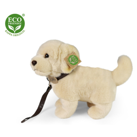 Plyšový pes zlatý retrívr s vodítkem 25 cm ECO-FRIENDLY