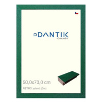 DANTIK rámeček 50 × 70, RETRO zelený plexi čiré