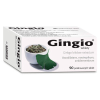 Gingio 40mg potahované tablety 90