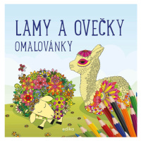 Lamy a ovečky - omalovánky - kolektiv autorů