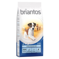 Briantos Junior Young & Fit - 14 kg