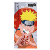 Naruto: Characters And Symbol - osuška