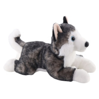 Husky ležící 26 cm