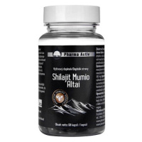 Shilajit Mumio Altai cps.60