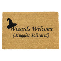 Rohožka z přírodního kokosového vlákna Artsy Doormats Wizards Welcome, 40 x 60 cm