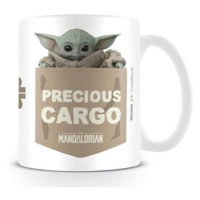 Star Wars Mandalorian - Precious Cargo - hrnek