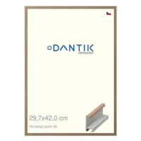 DANTIK rámeček 29,7 × 42, ALU profil 6035 Dýha ořech raw plexi čiré