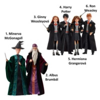 Mattel Harry Potter A Tajemná Komnata Harry Potter