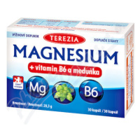 TEREZIA Magnesium+vitamin B6 a meduňka cps.30