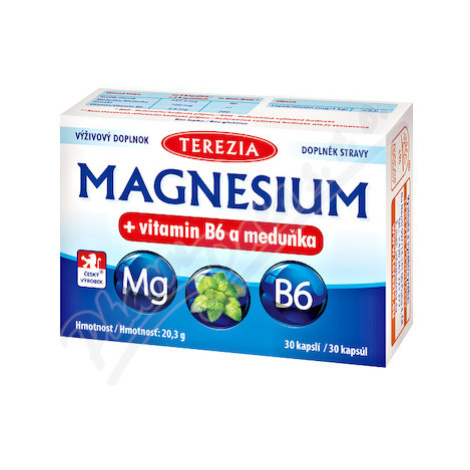 TEREZIA Magnesium+vitamin B6 a meduňka cps.30